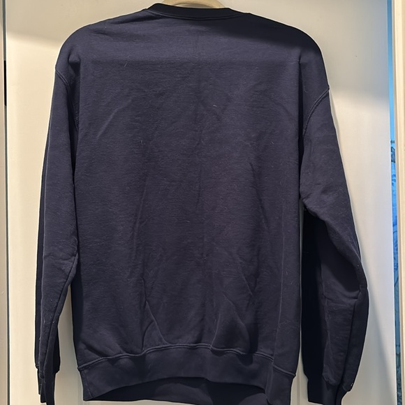 Lauren Daigle Kaleidoscope Tour sweatshirt Blue sz M - Picture 3 of 3